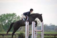 Matties horse jumping